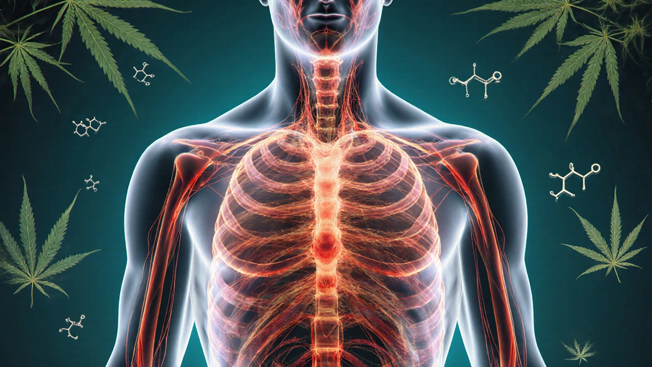 Abstrakte Darstellung des Körpers mit leuchtenden Blutfluss- und Nervenwegen, umgeben von Hanfblättern.