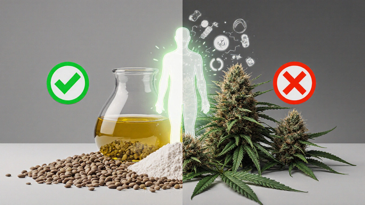 Vergleich: Hanfprodukte als Lebensmittel links, Hanfblüten als nicht essbar rechts.