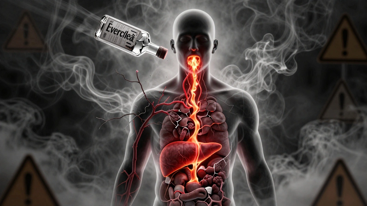 Eine durchscheinende Silhouette mit brennendem Alkoholweg im Körper, umgeben von zerbrochenen Organen und einer bedrohlichen Flasche.
