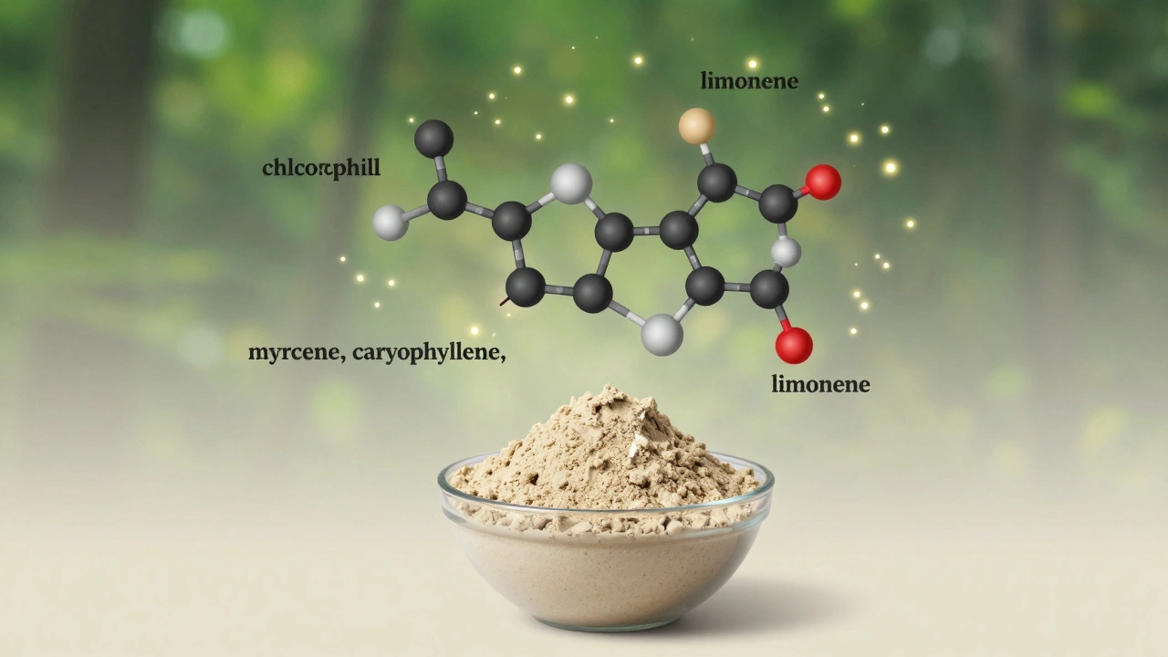 Molekulare Struktur von Terpenen und Chlorophyll über Hanfprotein-Pulver