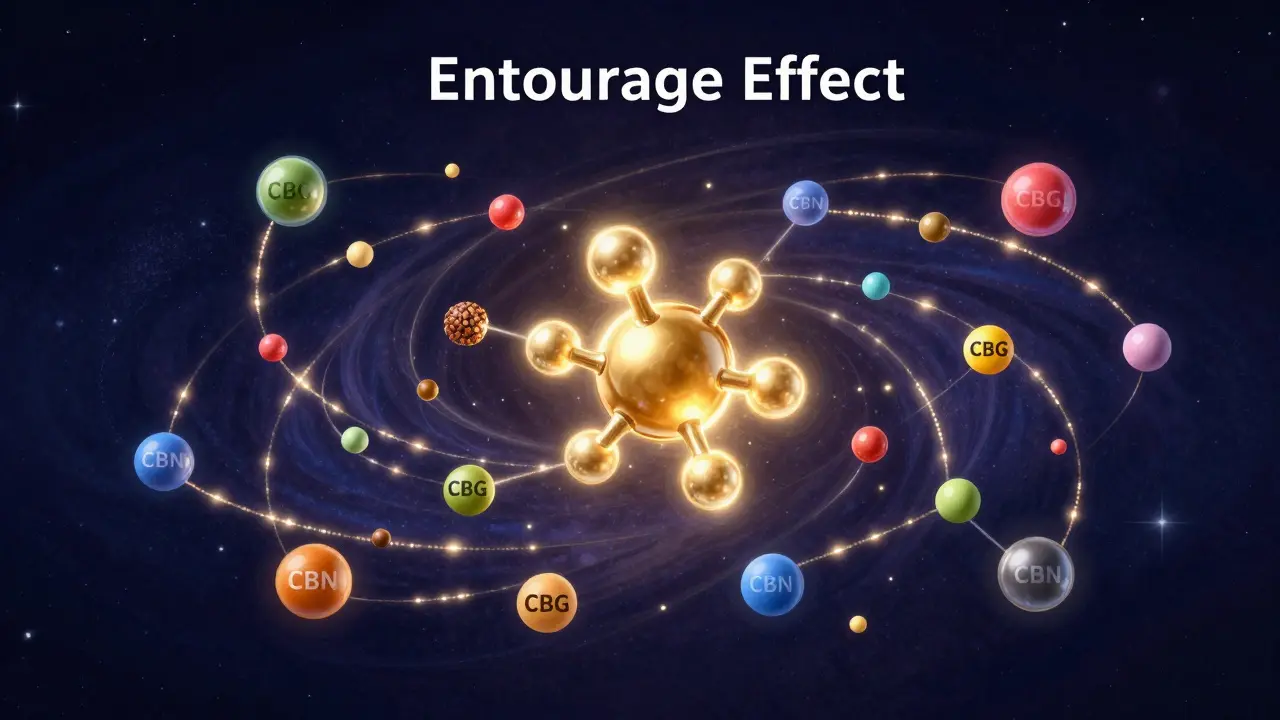 Künstlerische Darstellung des Entourage-Effekts mit CBD und Terpenen