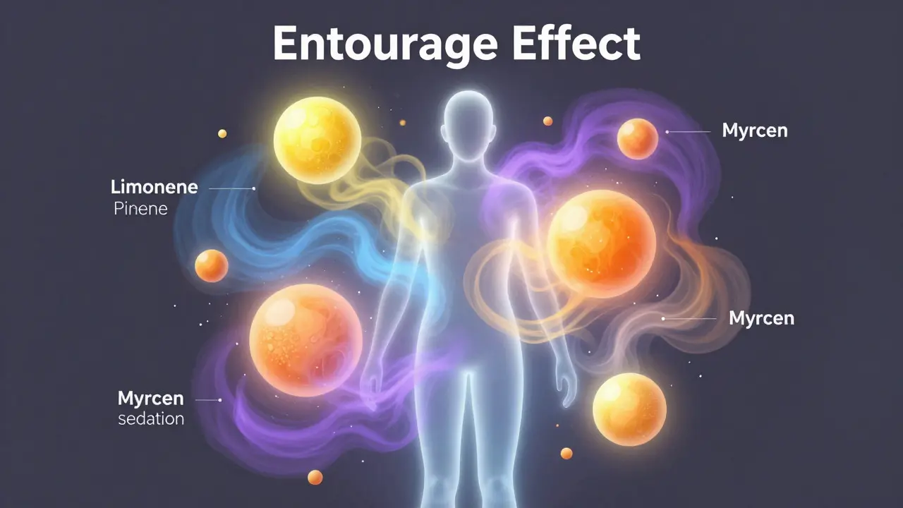 Abstract illustration of colorful terpene orbs interacting with a human silhouette